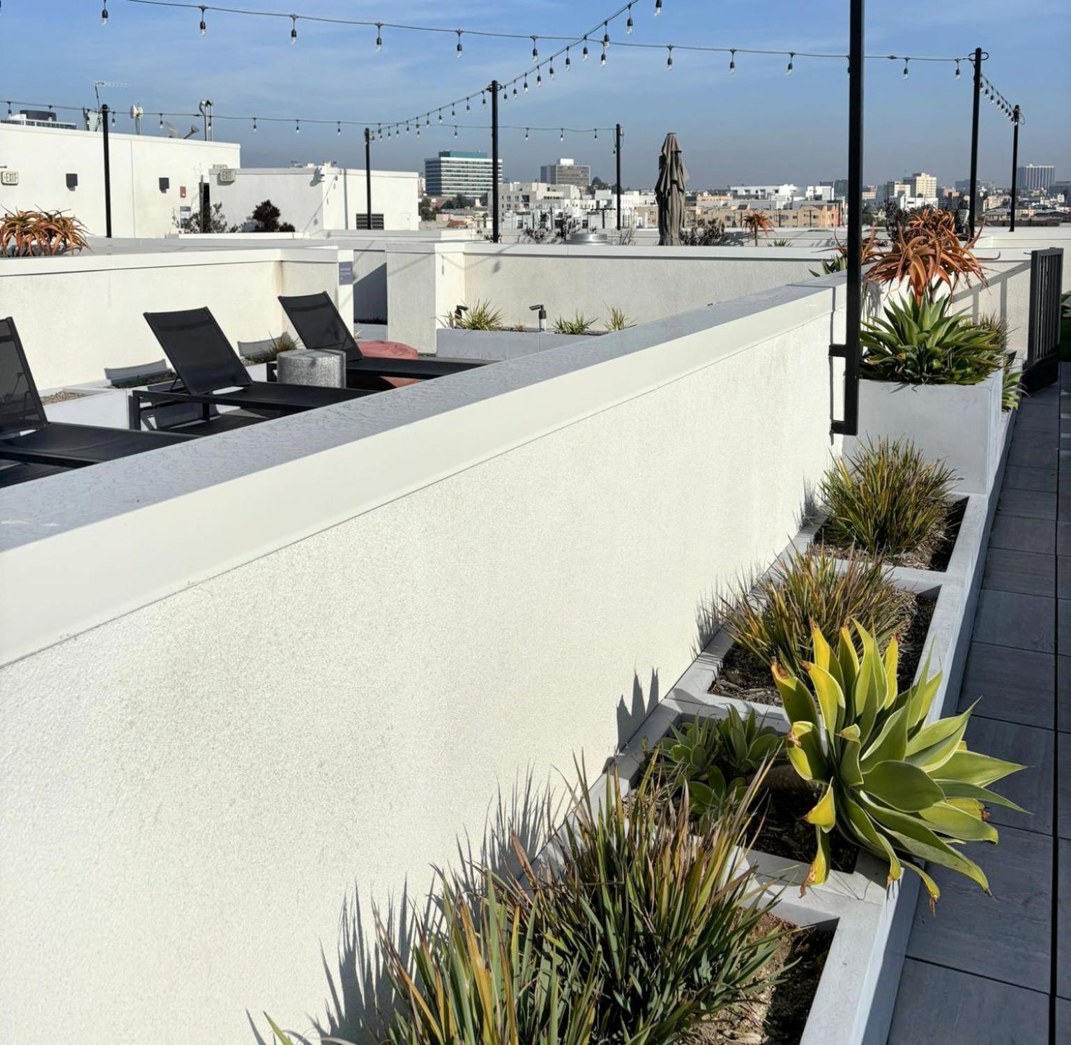Dream Escape With Great Rooftop Views ลอสแอนเจลิส ภายนอก รูปภาพ